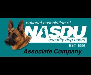 WhatsApp Image 2025-06-28 at 19.32.52 (1)